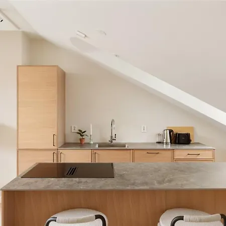 Apartamento Dinbnb Gruenerlokka I Penthouse With Private Rooftop I 2-bedroom With Double Queen & 2 Bathrooms Oslo